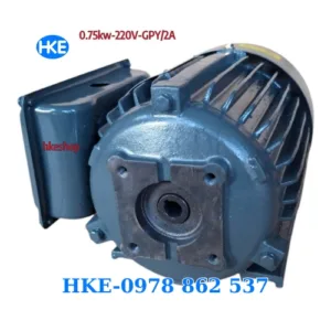 Mô tơ 1 pha 0.75kW cốt âm 12.5mm