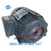 mô tơ 3 pha 0.75kW cốt âm 12.7mm
