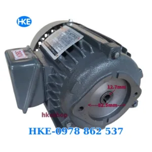 mô tơ 3 pha 0.75kW cốt âm 12.7mm