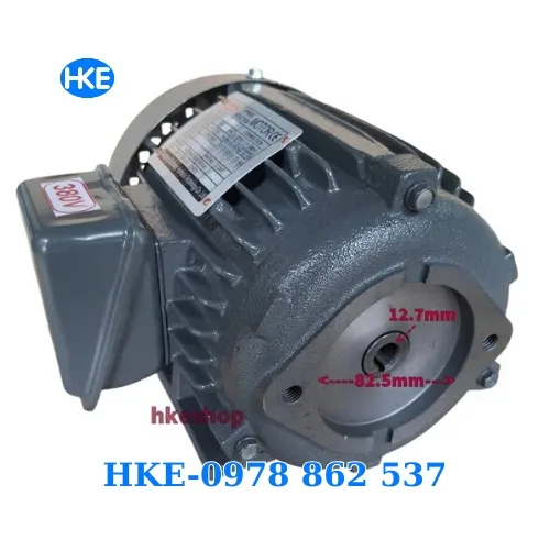 mô tơ 3 pha 0.75kW cốt âm 12.7mm