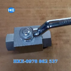 Van bi thuỷ lực 2 ngã ren 21(G1/2'')