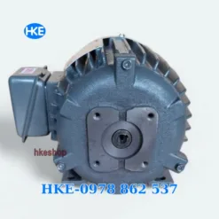 Mô tơ 3 pha 2.2kW 3HP cốt âm 12.5mm lắp bơm nhông thuỷ lực 2A/GPY