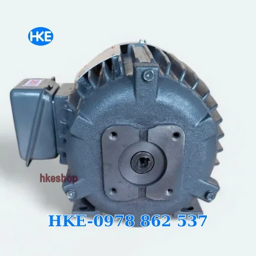Mô tơ 3 pha 2.2kW 3HP cốt âm 12.5mm lắp bơm nhông thuỷ lực 2A/GPY