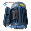 Mô tơ 1 pha 0.75kW cốt âm 12.5mm lắp bơm thủy lực HKE.