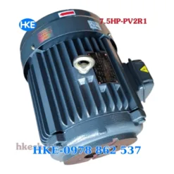Mô tơ 3 pha 5.5kW cốt âm 19mm Lắp Bơm lá áp cao PV2R1 tại HKE Hydraulic