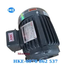 mô tơ 3 pha 0.75kW cốt âm 12.7mm