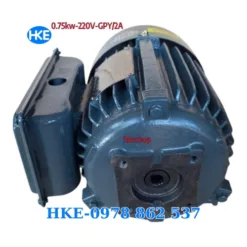 Mô tơ 1 pha 0.75kW cốt âm 12.5mm