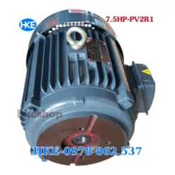 mo to 3 pha 5.5kw lap bom pv2r1