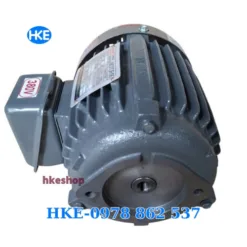 mô tơ 3 pha 0.75kW cốt âm 12.7mm
