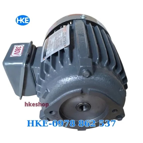 mô tơ 3 pha 0.75kW cốt âm 12.7mm