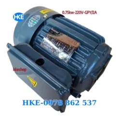 Mô tơ 1 pha 0.75kW cốt âm 12.5mm