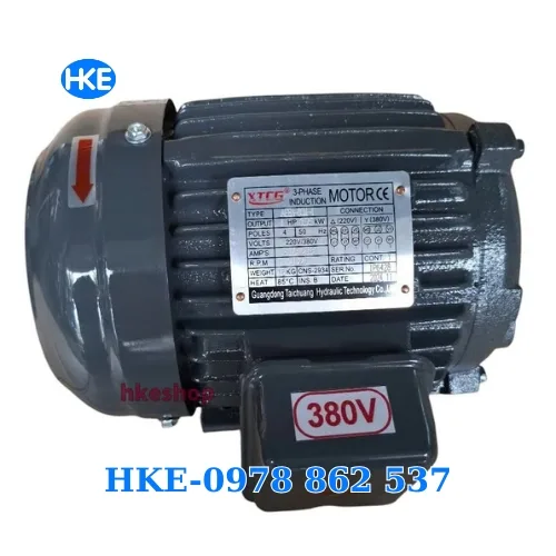 mô tơ 3 pha 0.75kW cốt âm 12.7mm