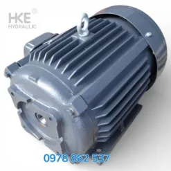 Mô tơ 3 pha 2.2kW 3HP cốt âm 19mm lắp bơm lá thuỷ lực VP30, VP40
