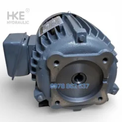 Mô Tơ 3 Pha 1.5kW Cốt Âm 19mm Lắp Bơm VP30 VP40 tại HKE Hydraulic