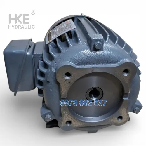 Mô Tơ 3 Pha 1.5kW Cốt Âm 19mm Lắp Bơm VP30 VP40 tại HKE Hydraulic