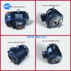 mo to 3 pha 2.2kw lap bom pv2r1