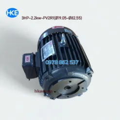 mo to 3 pha 2.2kw lap bom pv2r1