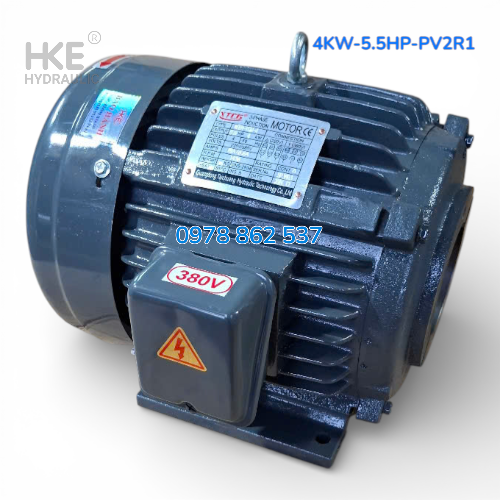 Mô tơ 3 pha 4kW cốt âm 19mm Lắp Bơm lá áp cao PV2R1
