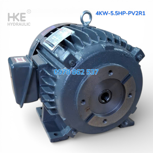 Mô tơ 3 pha 4kW cốt âm 19mm Lắp Bơm lá áp cao PV2R1