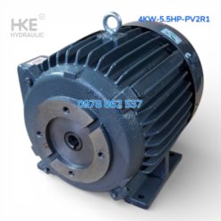 Mô tơ 3 pha 4kW cốt âm 19mm Lắp Bơm lá áp cao PV2R1