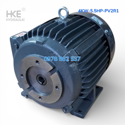 Mô tơ 3 pha 4kW cốt âm 19mm Lắp Bơm lá áp cao PV2R1