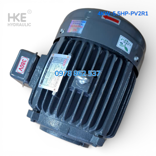 Mô tơ 3 pha 4kW cốt âm 19mm Lắp Bơm lá áp cao PV2R1