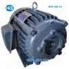 Mô Tơ 3 Pha 4kW Cốt Âm 16mm giá tốt