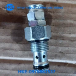 van chỉnh áp cartridge RV-02-Y1