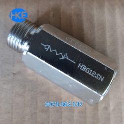 van chống rơi xi lanh khi vỡ ống thủy lực HBG12SN