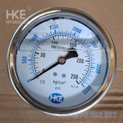 đồng hồ áp suất 250 bar chân đứng ren 1/4 HKE Hydraulic