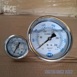 đồng hồ áp suất 250 bar chân đứng ren 1/4 HKE Hydraulic