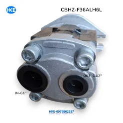 Bơm Bánh Răng CBHZ-F36-ALH6L 36cc Áp Cao 250 Bar G1