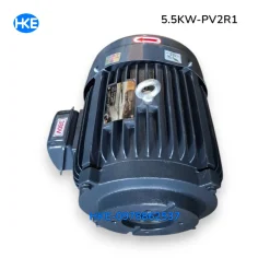 Mô tơ 3 pha 5.5kW cốt âm 19mm Lắp Bơm lá áp cao PV2R1 tại HKE Hydraulic