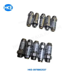Van xả nhanh khí nén PNEUMAX 6.02.04.18.L G1/8 PNEUMAX 6.02.04.18.L Inline Quick Exhaust Valve Van xả nhanh Italy 6.02.04.18.L Thông số kỹ thuật PNEUMAX 6.02.04.18.L Van xả nhanh khí nén Ø4 ren G1/8