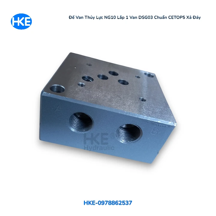 Manifold thủy lực NG10 xả đáy ren PT1/2