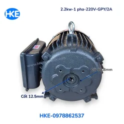 Mô tơ 1 pha 220V 3HP cốt âm 12,5 mm, gờ định vị 50,8 mm