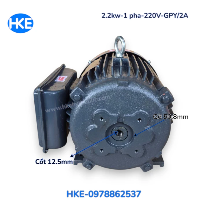 Mô tơ 1 pha 220V 3HP cốt âm 12,5 mm, gờ định vị 50,8 mm
