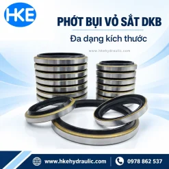 Phốt bụi sắt DKB nhiều kích thước tại HKE Hydraulic