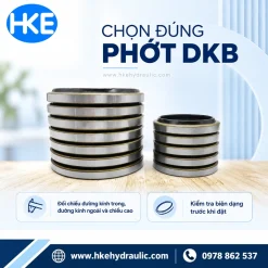 Chọn phốt bụi DKB theo đường kính trong ngoài chiều cao và biên dạng