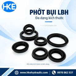 Phốt bụi LBH nhiều kích thước tại HKE Hydraulic