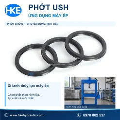 Minh họa ứng dụng phốt USH trên xi lanh máy ép