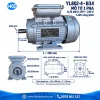 Kích thước mô tơ 1 pha YL802-4 B34 trục 19 mm, bích 121 mm