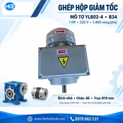 YL802-4 B34 ghép hộp giảm tốc – ứng dụng minh họa